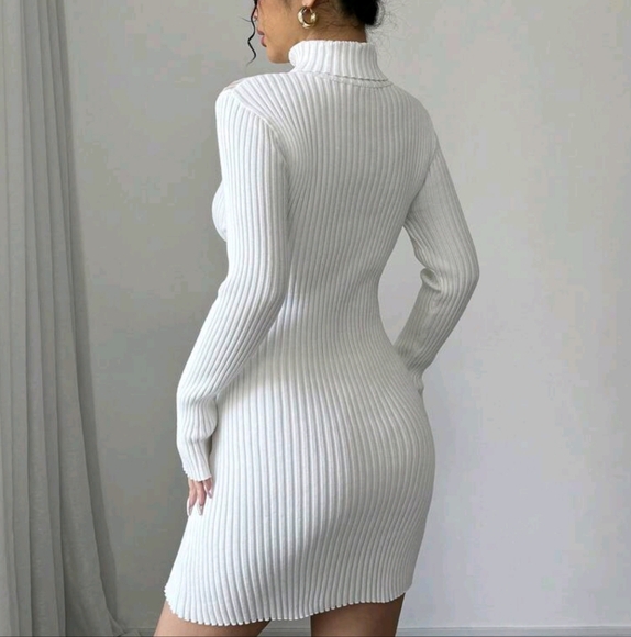 Solid Color Mesh Insert Bodycon Long Sleeve Knit Dress - Picture 3 of 4